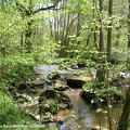 Les Gorges de la Rouvre