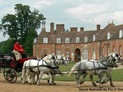 Haras national du Pin