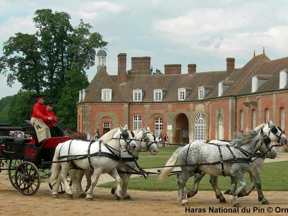 Haras national du Pin