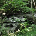 Les Gorges de Varenne dans le Bocage Ornais