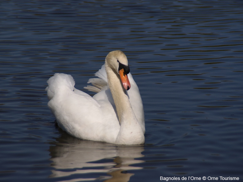 le_lac_bagnoles_de_l_orne.jpg