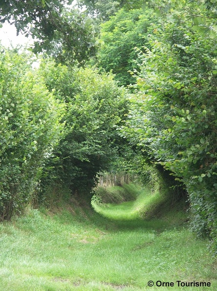 Chemin de randonnée dans l'Orne en Normandie