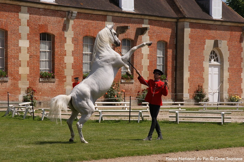 Haras_national_du_Pin_Orne_Normandie.jpg