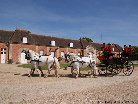 Haras national du Pin Orne Normandie - Les jeudis du Pin
