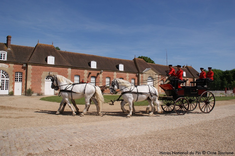 Haras national du Pin Orne Normandie - Les jeudis du Pin