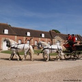 Haras national du Pin Orne Normandie - Les jeudis du Pin