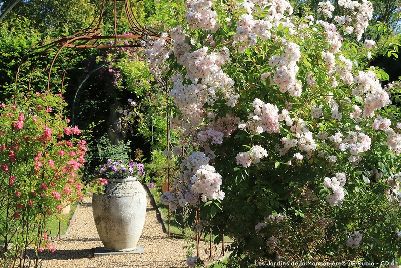 Les jardins de la Mansonière à Saint Céneri le Gérei