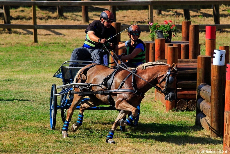 Haras national du Pin - compétitions