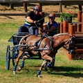 Haras national du Pin - compétitions