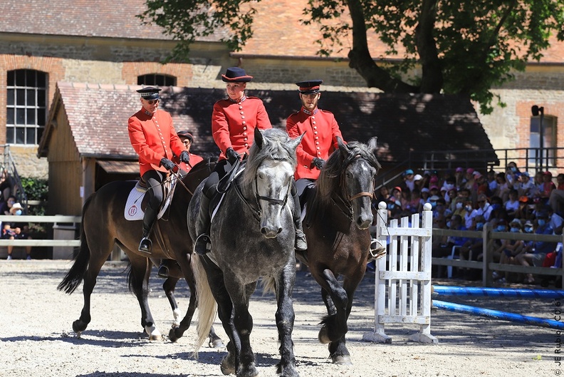 Haras national du Pin - spectacles