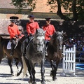 Haras national du Pin - spectacles