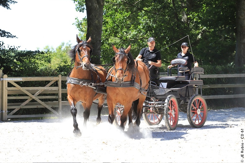 Haras national du Pin - spectacles