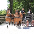 Haras national du Pin - spectacles