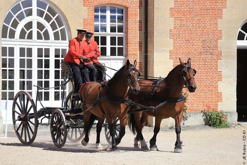 Haras national du Pin - spectacles