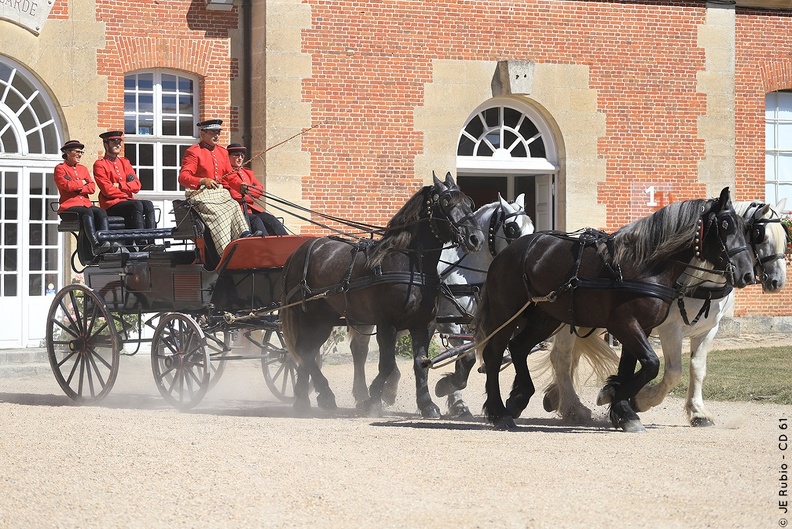 Haras national du Pin - spectacles