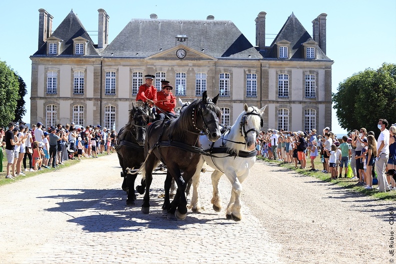 Haras national du Pin - spectacles