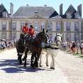 Haras national du Pin - spectacles