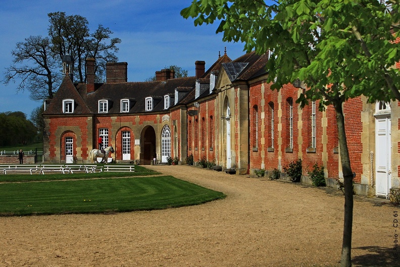 Le Haras national du Pin, Versailles du cheval . Haras-national-du-Pin-spectacles6.jpg