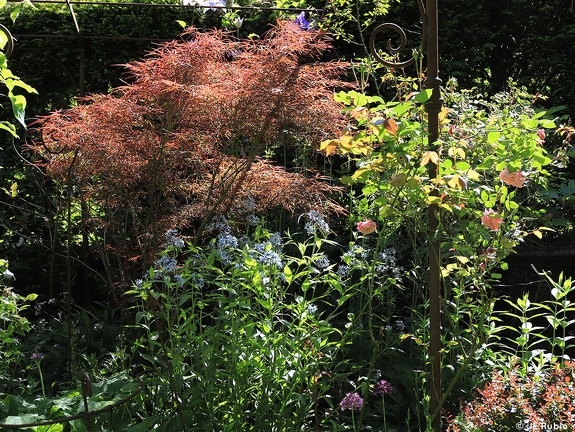 Jardin retiré à Bagnoles de l'Orne
