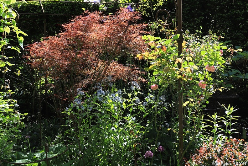 Jardin retiré à Bagnoles de l'Orne