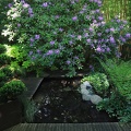 Jardin retiré à Bagnoles de l'Orne