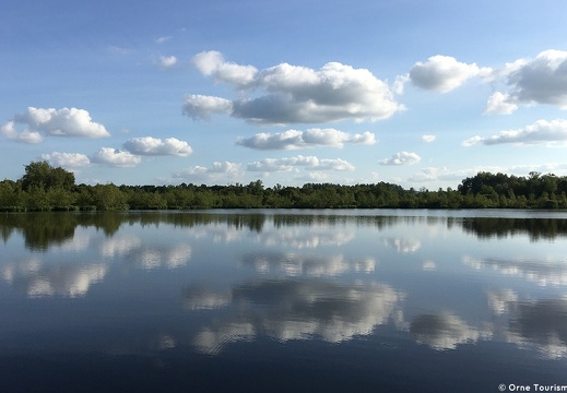 Le marais du grand Hazé