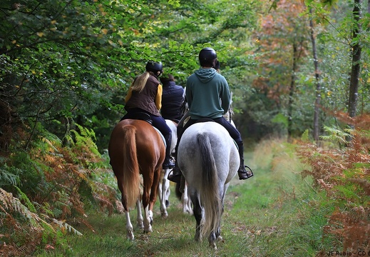 Randonnée à cheval
