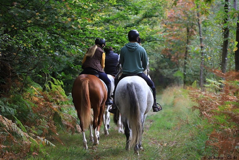 Randonnée à cheval