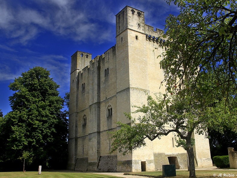 Donjon Chambois
