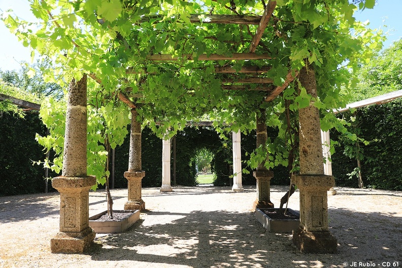 Bois du Puits à Serigny