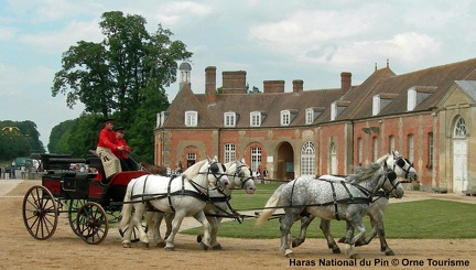 Haras national du Pin