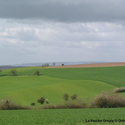Le Perche Ornais