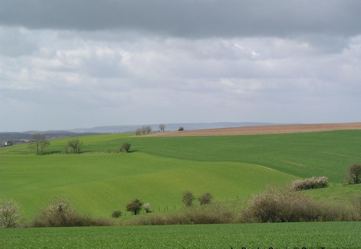 Paysage du Perche
