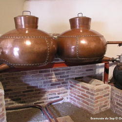 Pays d'Argentan - Pays d'Auge Ornais