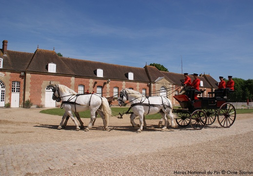 Haras national du Pin Orne Normandie - Les jeudis du Pin