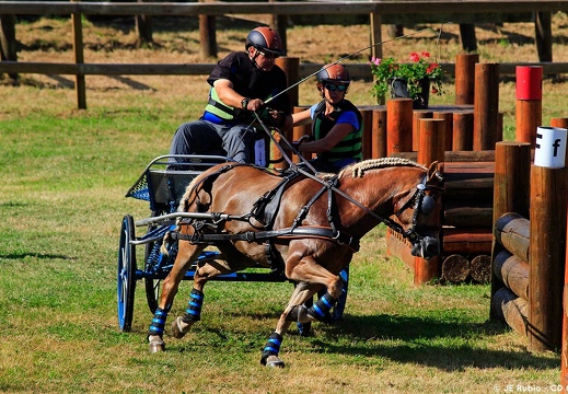Haras national du Pin - compétitions