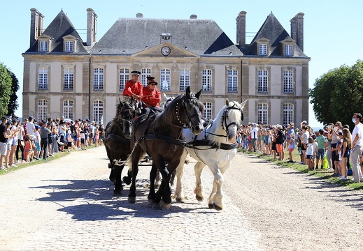 Haras national du Pin - spectacles