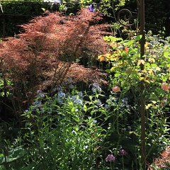 Jardin retiré à Bagnoles de l'Orne