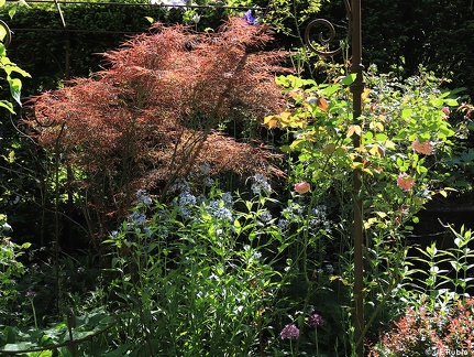 Jardin retiré à Bagnoles de l'Orne