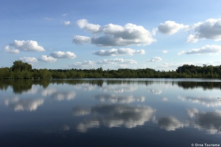 Le marais du grand Hazé