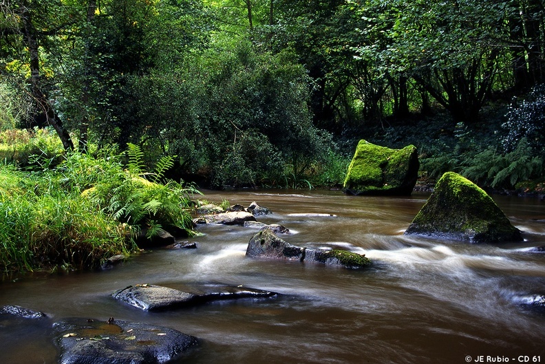 Les Gorges de la Rouvre