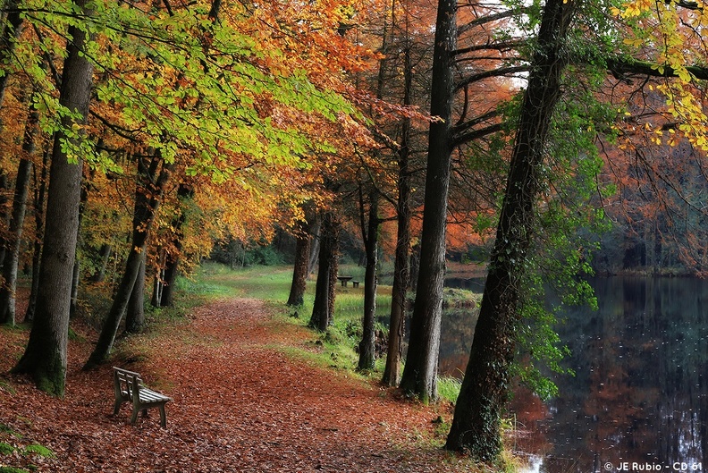 Etang de la Herse