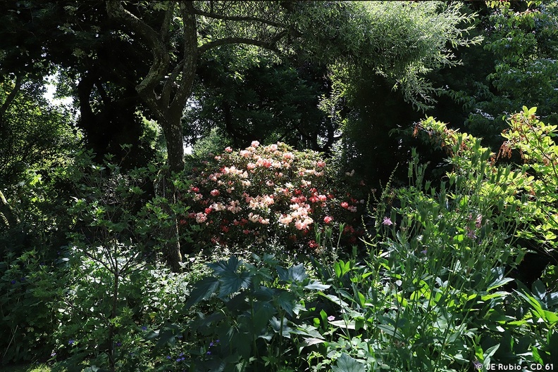 Jardin La petite Rochelle à Rémalard