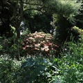 Jardin La petite Rochelle à Rémalard